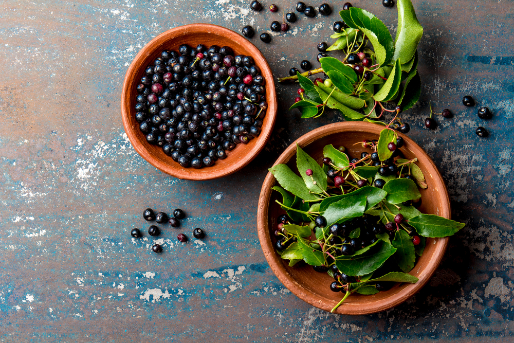 Descubriendo los Beneficios del Maqui Berry en tu Dieta Diaria